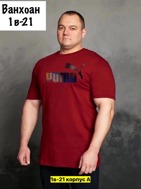 Хлопковые мужские футболки