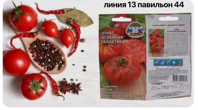 Семена томатов