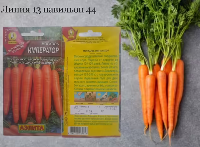 Семена моркови