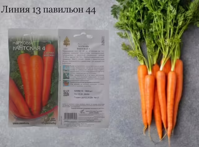 Семена моркови