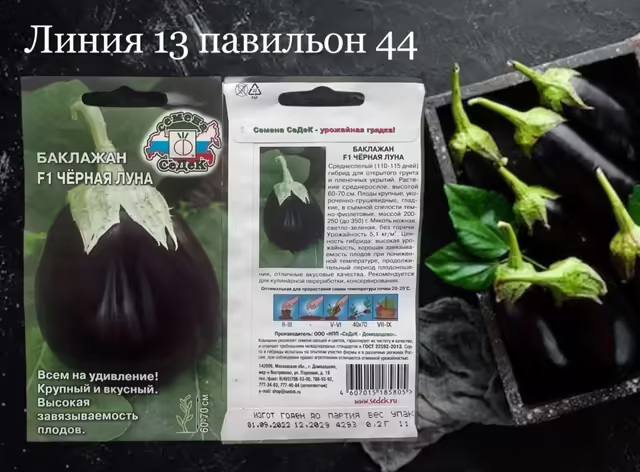 Семена баклажана