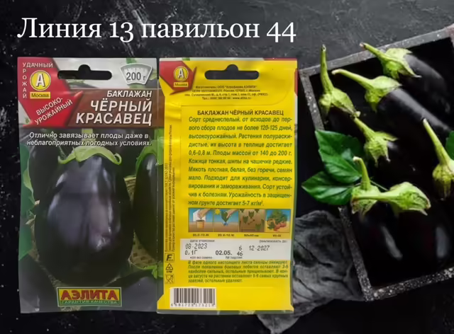 Семена баклажана