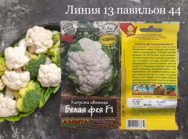 Семена капусты