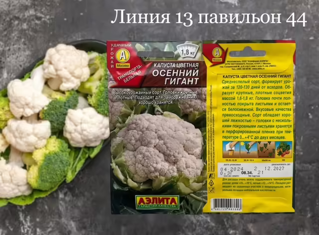 Семена капуста цветная осенний гигант