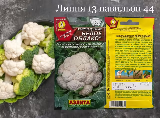 Семена капусты