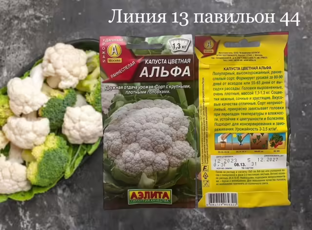 Семена капусты