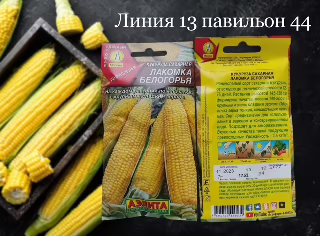 Семена кукурузы