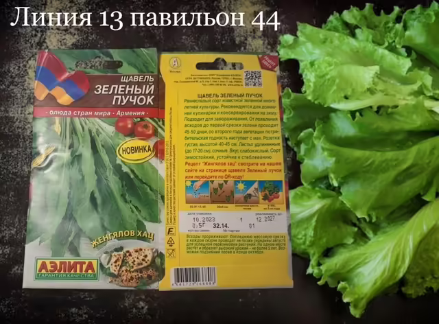 Семена щавеля