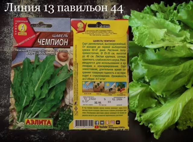 Семена щавеля