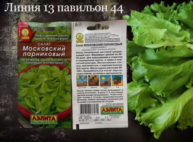 Семена салата
