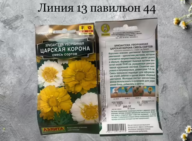 Семена хризантемы