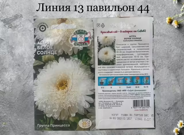 Семена астры