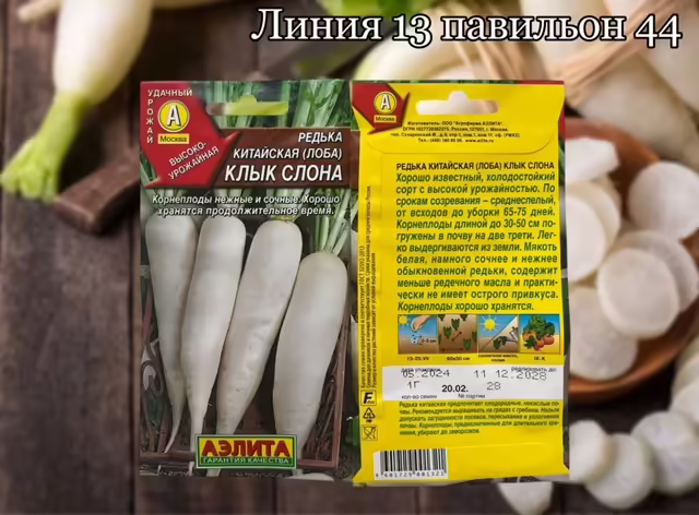 Семена редьки