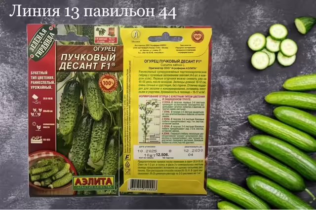 Семена огурцов