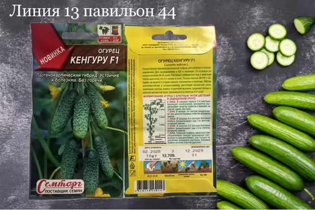 Семена огурцов