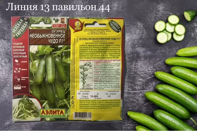 Семена огурцов