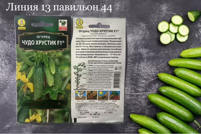 Семена огурцов