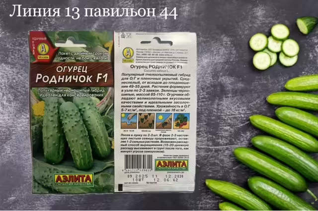 Семена огурцов