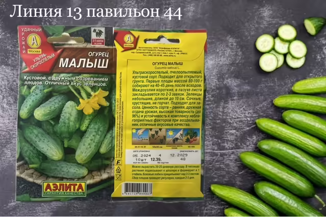 Семена огурцов
