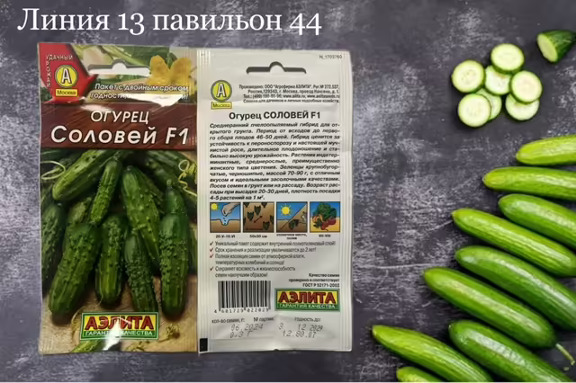 Семена огурцов