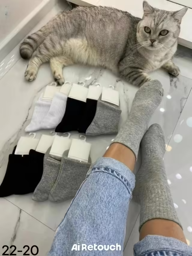 Милые женские носки