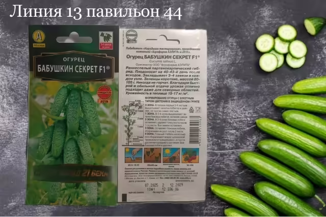 Семена огурцов