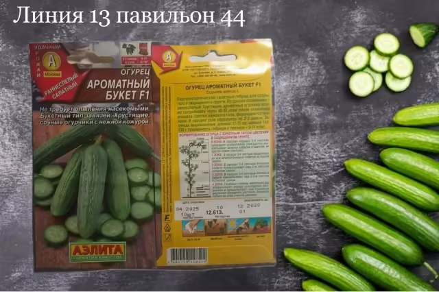 Семена огурцов