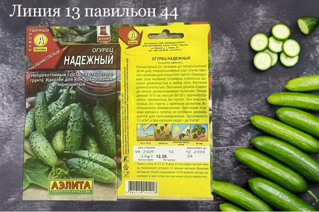 Семена огурцов