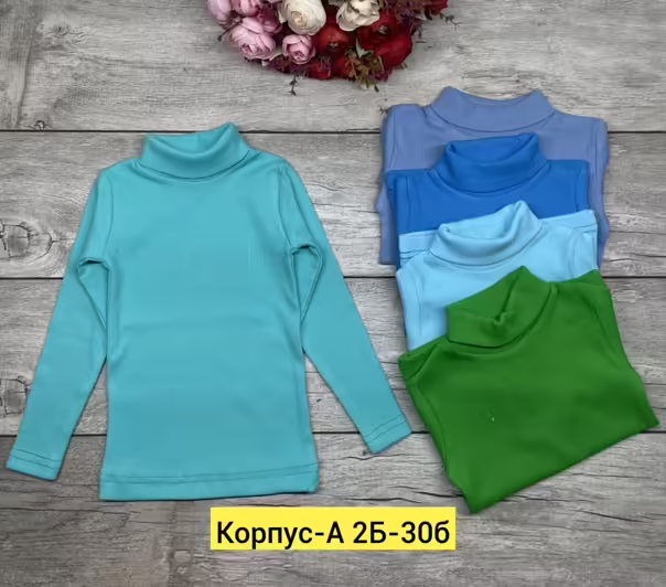 Детские водолазки для мальчика